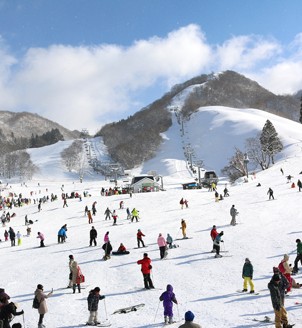 グランスノー奥伊吹 リフト御優待券(1日券)ペア