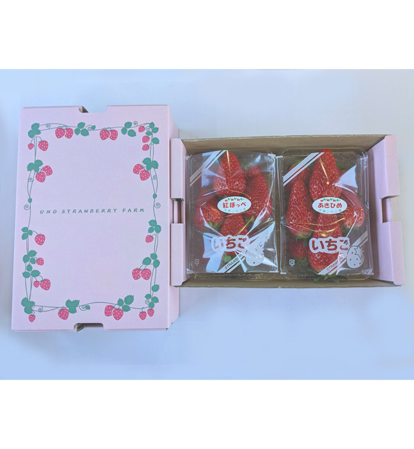 宇野いちご園
もりやまびわこパールいちご
2パック入り1箱