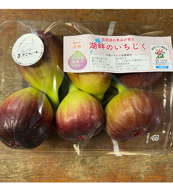 湖畔のいちじく